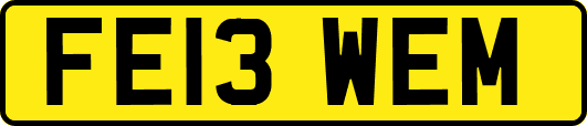 FE13WEM