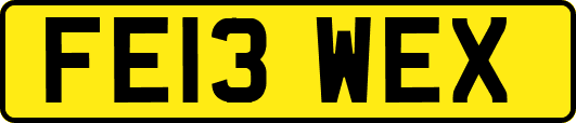 FE13WEX