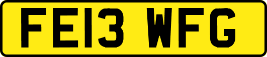 FE13WFG