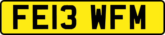 FE13WFM