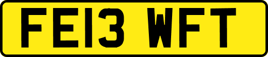 FE13WFT