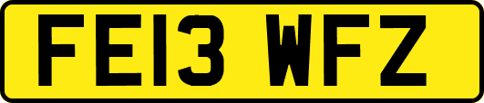 FE13WFZ