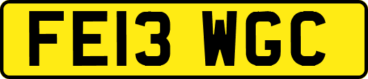 FE13WGC