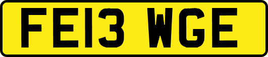 FE13WGE