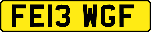 FE13WGF