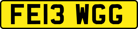 FE13WGG