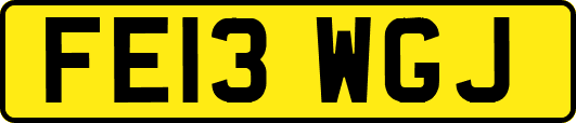 FE13WGJ