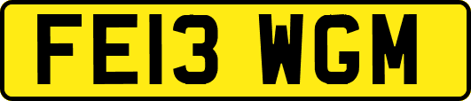 FE13WGM