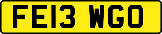 FE13WGO