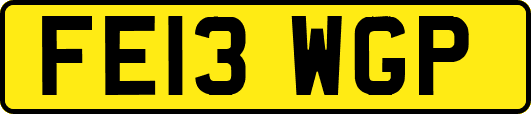 FE13WGP