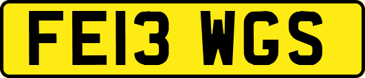 FE13WGS