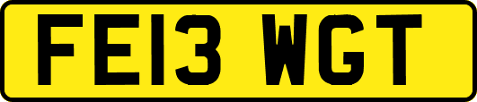 FE13WGT