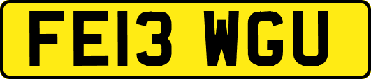 FE13WGU