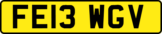 FE13WGV