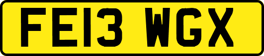 FE13WGX