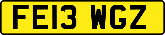 FE13WGZ