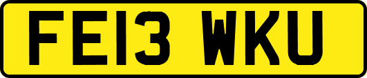 FE13WKU