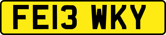 FE13WKY