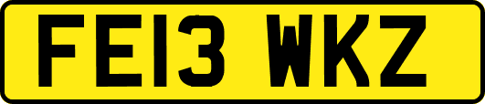 FE13WKZ