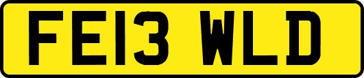 FE13WLD