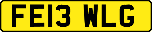 FE13WLG