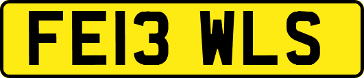FE13WLS