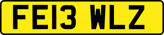 FE13WLZ