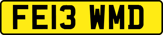 FE13WMD