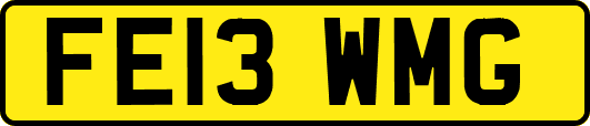 FE13WMG