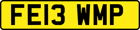 FE13WMP