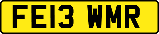 FE13WMR