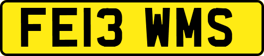 FE13WMS
