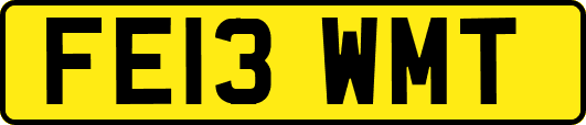 FE13WMT