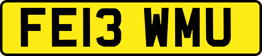 FE13WMU