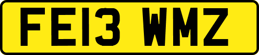 FE13WMZ