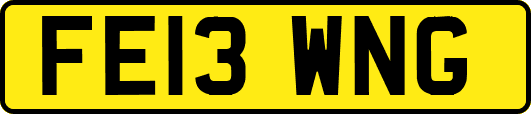 FE13WNG