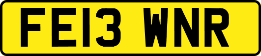FE13WNR
