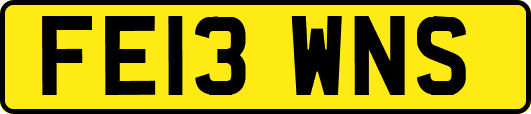 FE13WNS