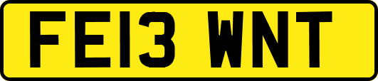 FE13WNT