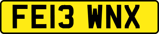FE13WNX