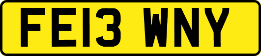 FE13WNY
