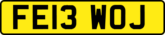 FE13WOJ