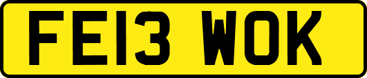 FE13WOK