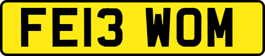 FE13WOM