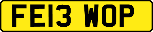 FE13WOP