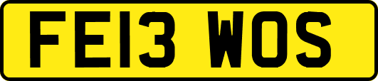 FE13WOS