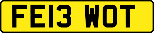 FE13WOT