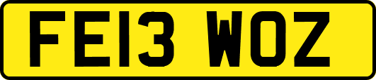 FE13WOZ