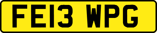 FE13WPG