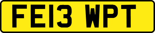 FE13WPT